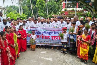 হারুন অর রশিদ হোমনা, কুমিল্লা প্রতিনিধি