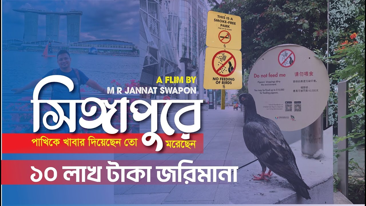 প্রথমবার সিঙ্গাপুর ভ্রমণে যা শিখলাম | মুই কি হনুরে | Thailand to Singapore Travel 4K | Jannat Swapon