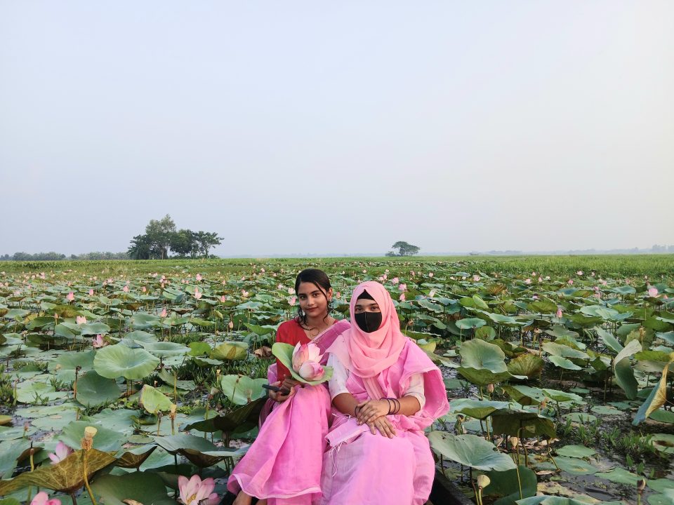 20260928 171953 Noto Post বলাকইড় পদ্মবিলে পর্যটন শিল্পের বিকাশ: প্রতিদিন শত শত মানুষের আনাগোনা