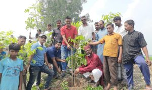 IMG 20261005 WA0020 Noto Post সান্তাহার ইউনিয়নের রক্তদহ বিল পাড়ে দুই হাজার গাছের চারা রোপনের উদ্যোগ